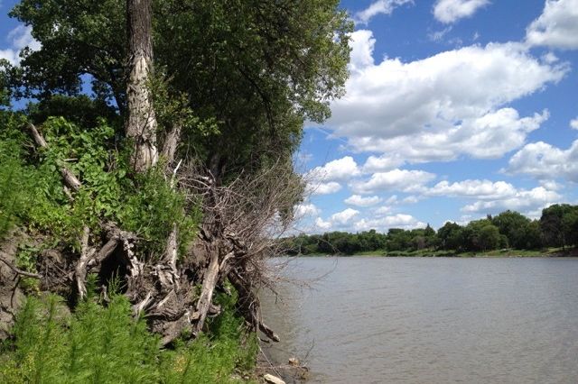 The Red River, shown here at Winnipeg, forms most of the border between North Dakota and Minnesota as it flows northward into southern Manitoba and Lake Winnipeg. (File photo by Dave Bedard)