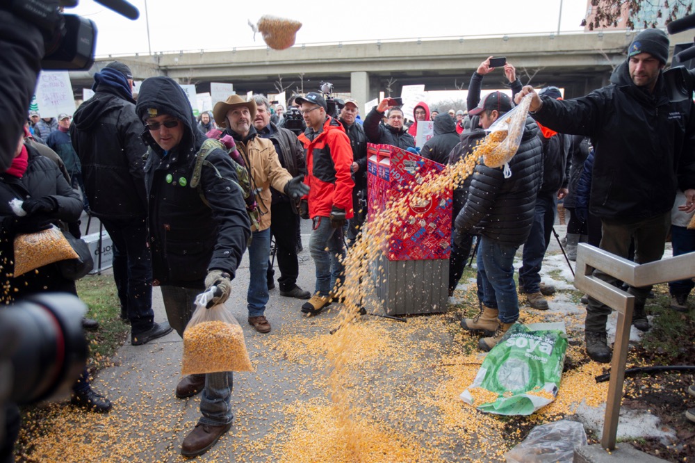 Farmers dump bags of corn grain in front of the Papineau riding office of Prime Minister Justin Trudeau in Montreal, as they protest the lack of propane due to the CN strike, on Nov. 25, 2019. (Photo: Reuters/Christinne Muschi)
