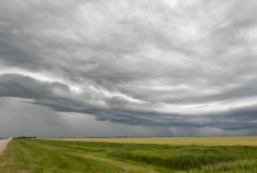 From May 1 to June 9, Manitoba received 150 per cent of its normal precipitation. 