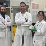 Nanotechnology used to develop genetic pest control